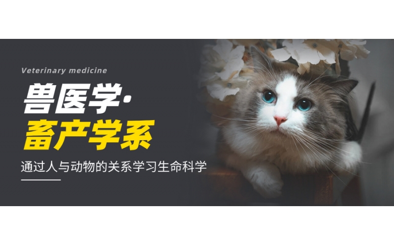 開設獸醫學的日本大學有哪些